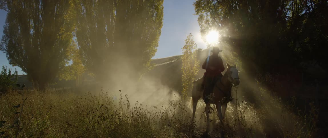 A person rides a horse in a hilly grassland area