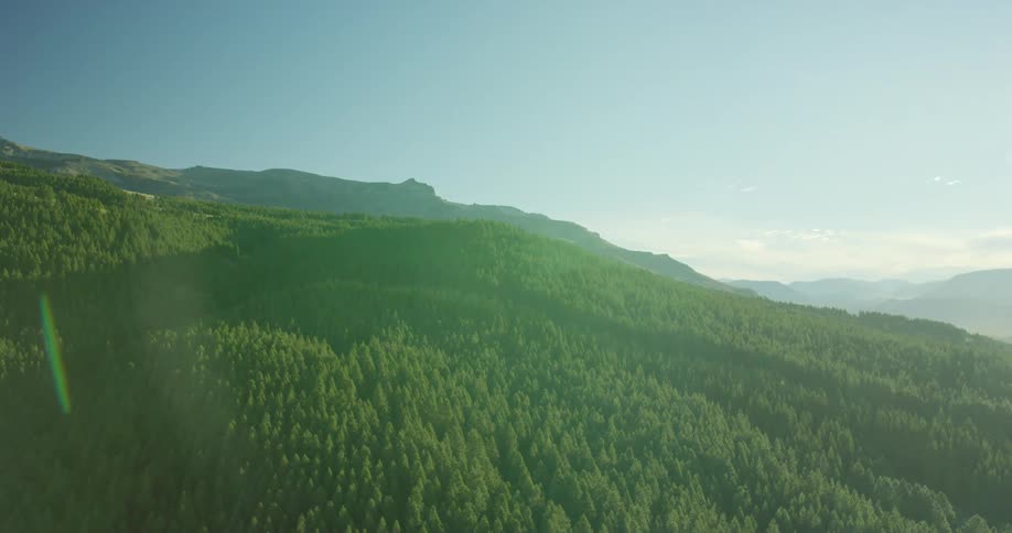 Landscape of green hills against a sunny blue sky