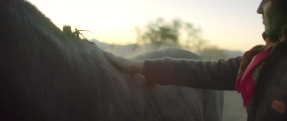 A person wipes the dust off the back of a horse