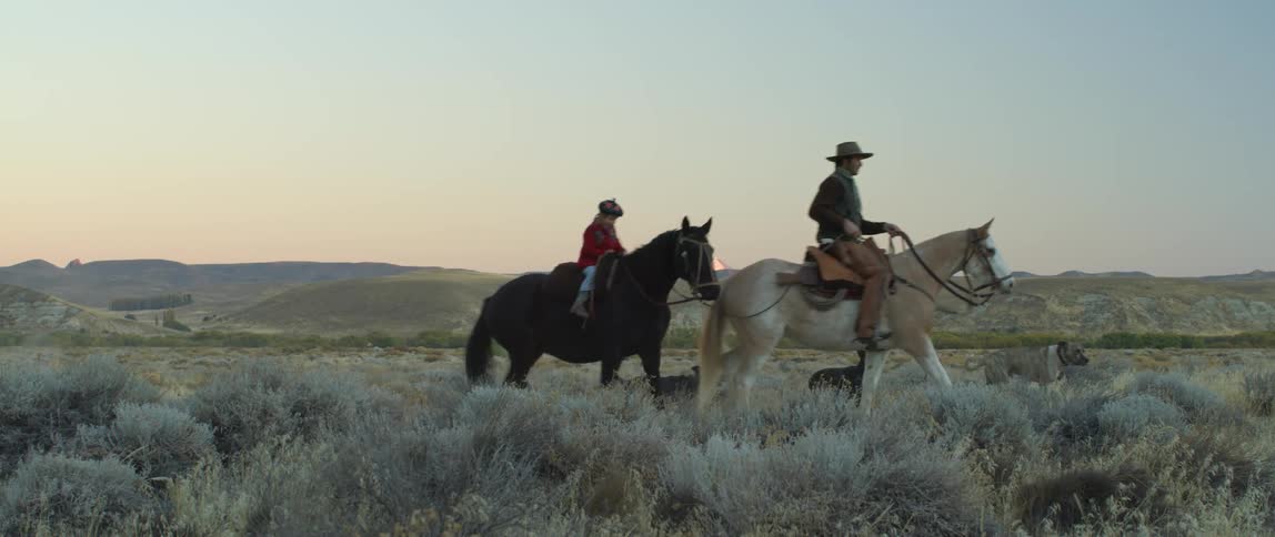 A father and his young daughter ride horses in a grassland with four dogs
