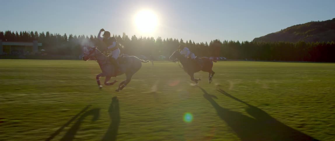 Jockeys riding galloping horses on a polo field at sunset