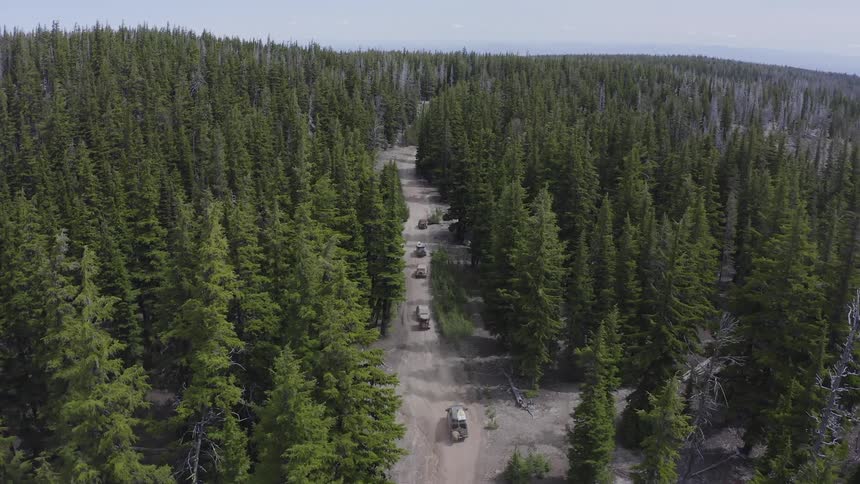 Aerial view of a group of vehicles driving on a dirt road through a pine tree forest