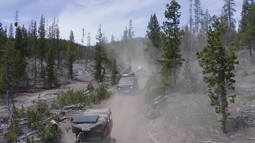 All terrain vehicles driving down a dirt road kicking dust through the forest