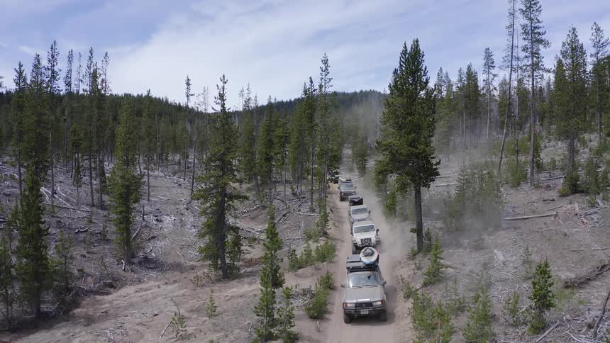 Group of vehicles driving through the pine tree forest on a dusty dirt road