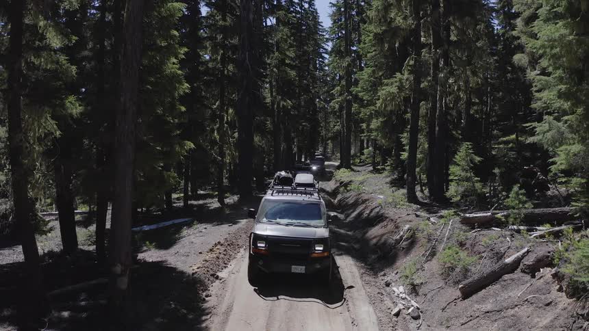 Cars driving on a dirt road in a forest on a summer day