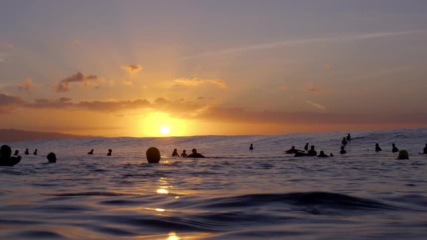 Large group of surfers swimming over surfboards on the calm sea waves at sunset