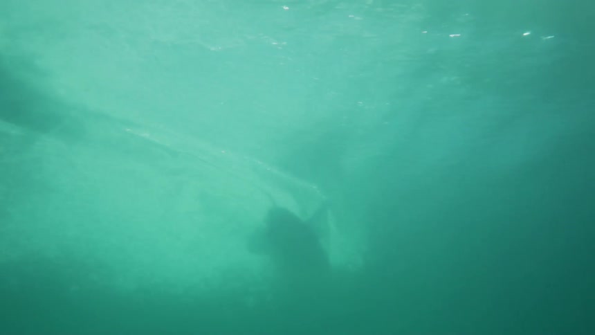 An underwater shot of a person riding on a surfboard on the waters surface