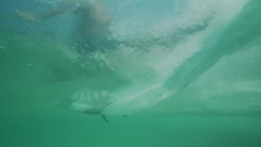 Underwater with bubbles with a person surfing on a surfboard above