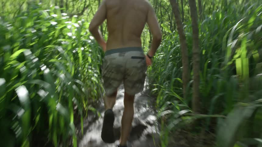 Man wearing shorts and tennis shoes runs on a jungle forest path with high grass and trees surrounding