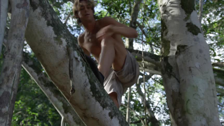 Shirtless man with shorts and black shoes climbs a tree in the woods