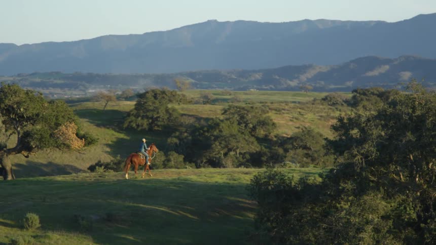 Person rides horse through grassy area with a few trees with mountains in the background