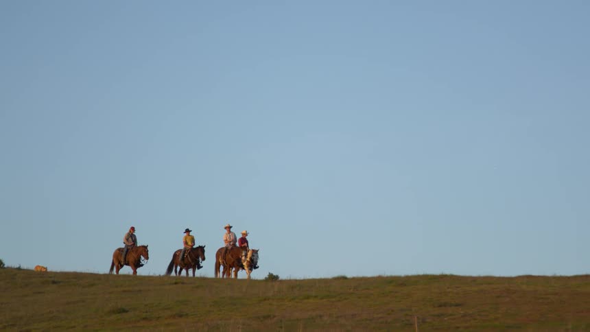 Four people ride on horses on a flat open space outdoors with a dog following behind