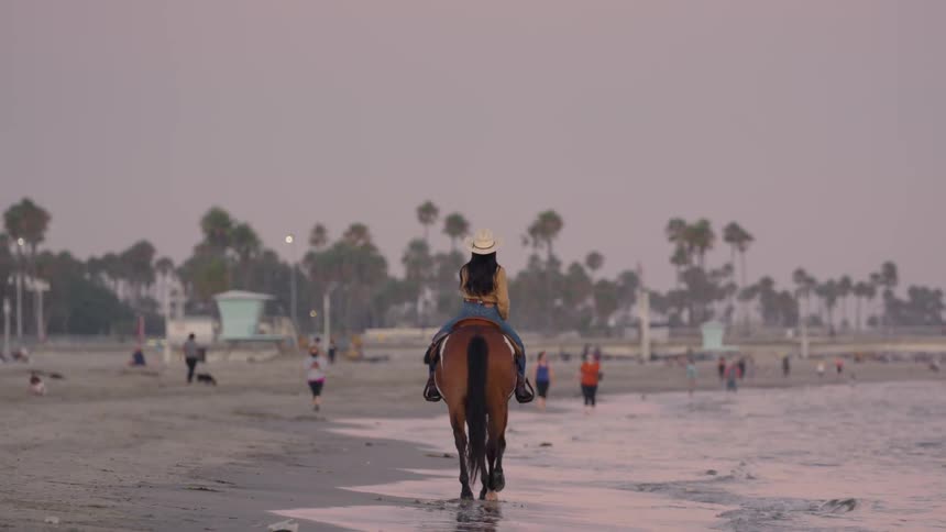 A woman rides a horse along the shoreline of a beach
