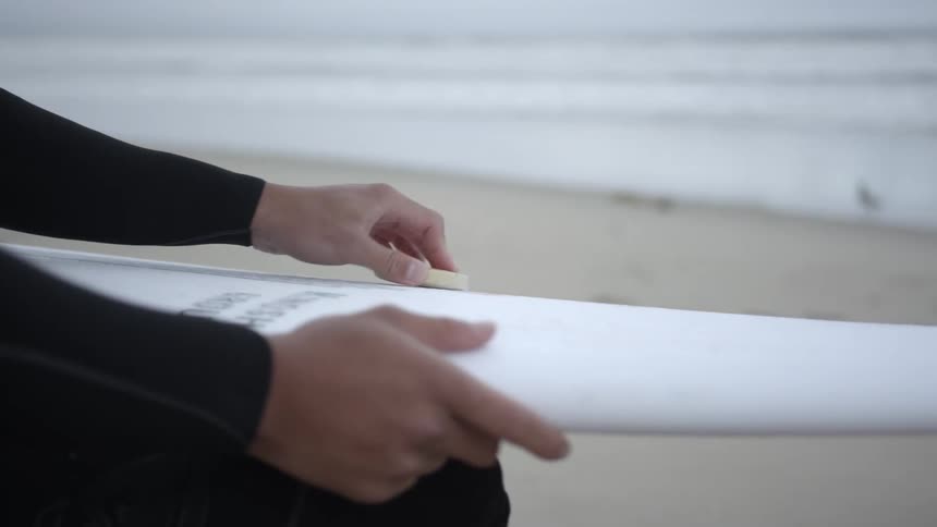 Person holds surfboard in lap and waxes it while birds walk across beach near waterline