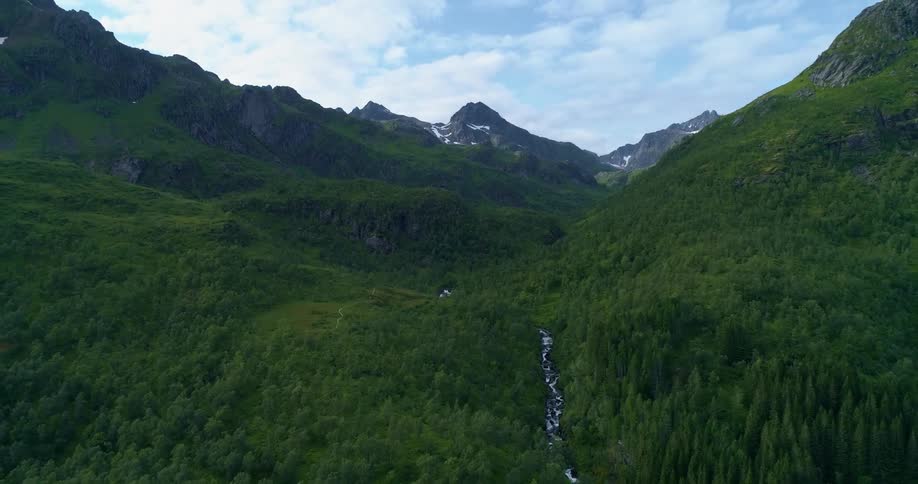 Lush green trees with a river running through them and a mountain range in the distance