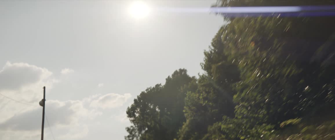 Moving with shot of a sky with full sunlight and trees during the day