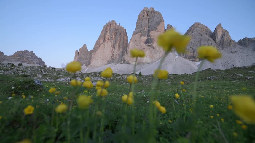 Large light brown mountains in the backdrop of a field with yellow flowers