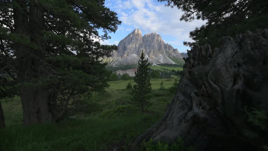 A tall rocky mountain peak seen through forest trees on a summer day