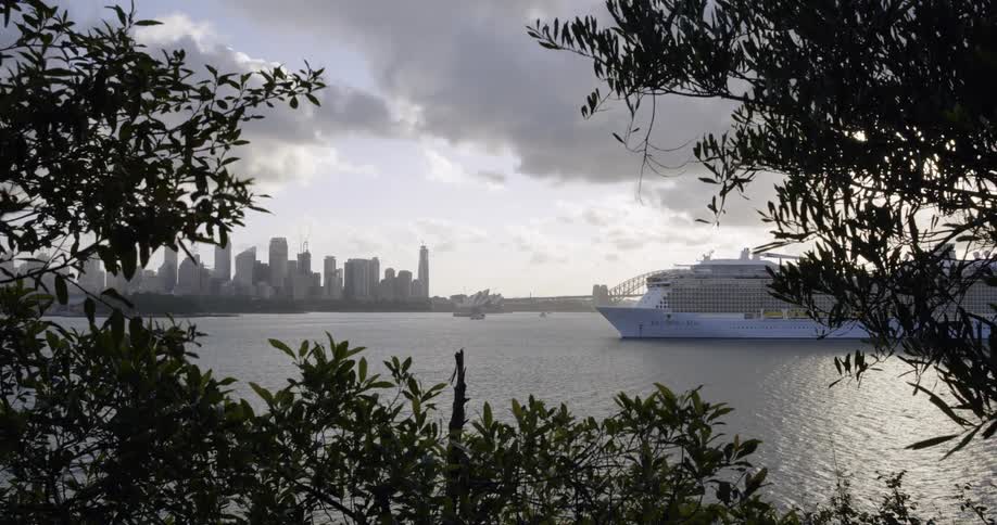Cruise ship entering the harbour next to a city skyline
