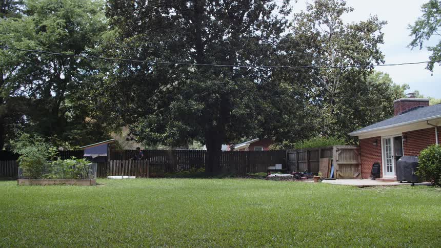 Four chicken fly into the backyard of a suburban house with a small garden