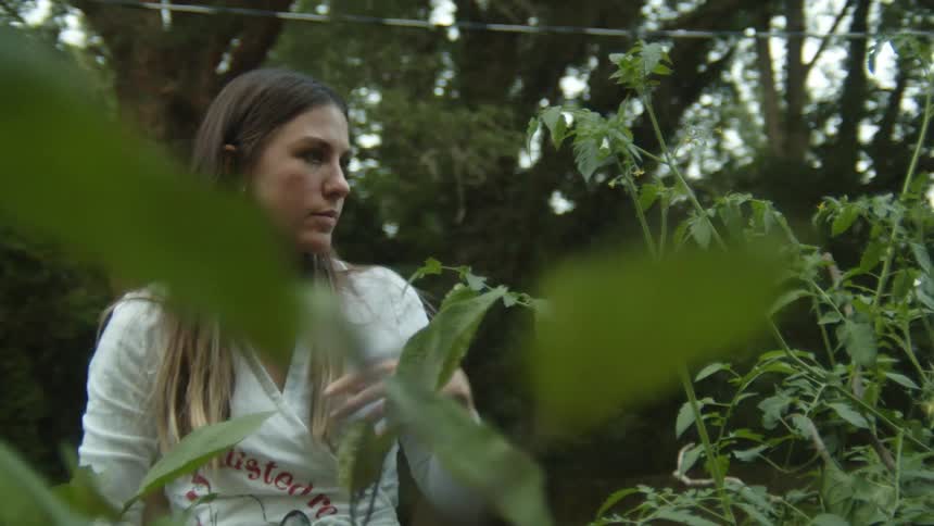 Woman outside at daytime using a pair of clippers to tend to a garden in a backyard