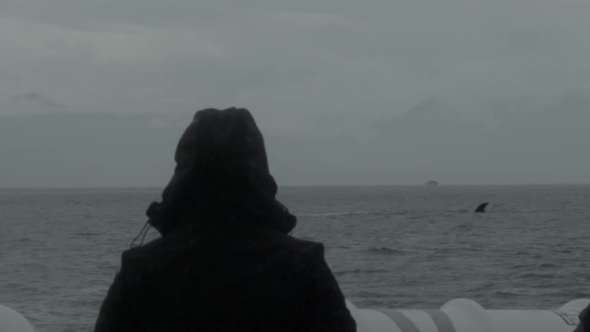 Person in winter clothing looking out at the cold ocean