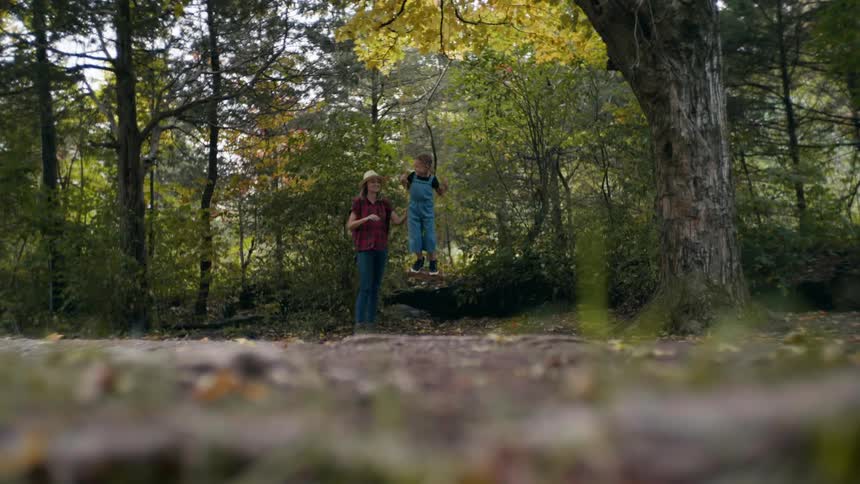 A woman in a strawhat pushes a girl standing on a swing attached to a large tree in a woodland during the day