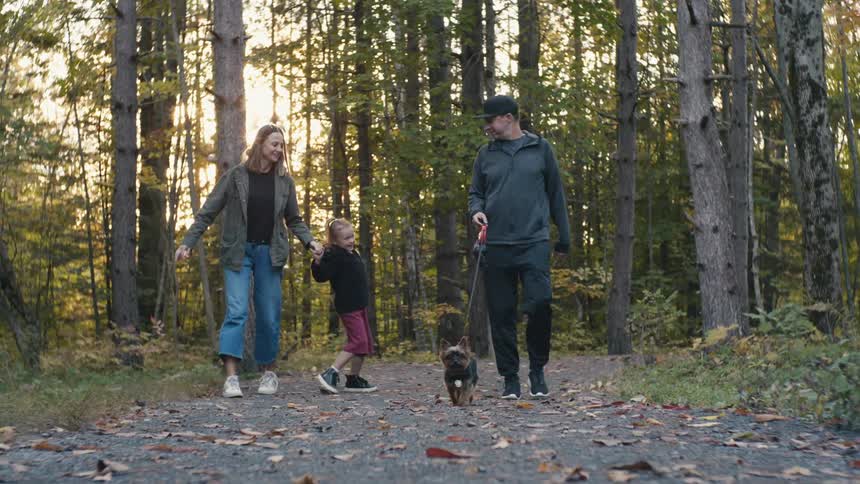 A man walks a dog along a path through a woodland alongside a woman holding the hand of a playful young girl