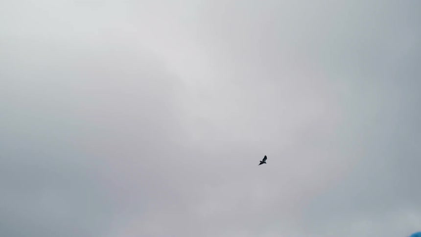 Bird flies in the cloudy sky seen from a playground
