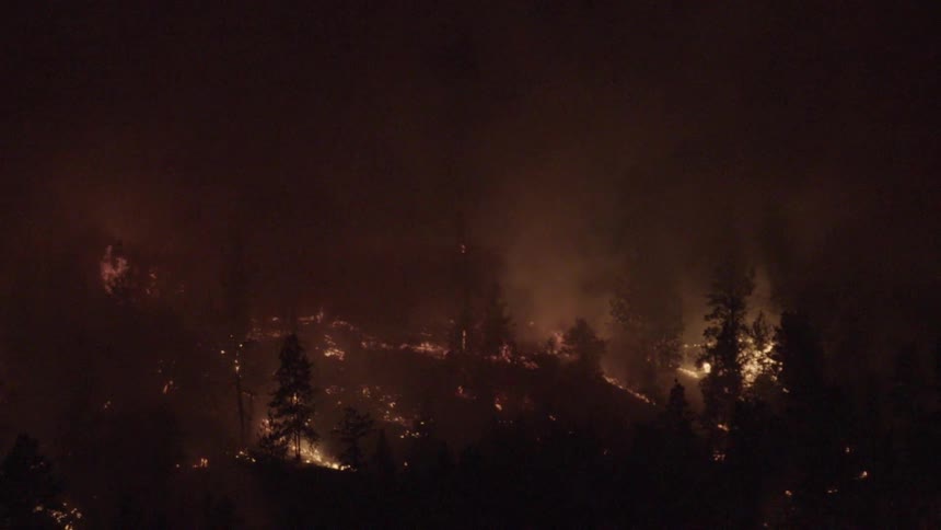 Wildfire burning in a forest at night