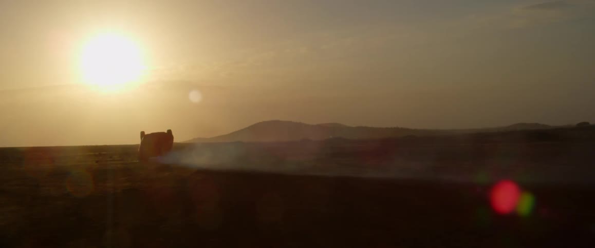 The low sun looms over a smoking overturned vehicle in a grassland in the evening