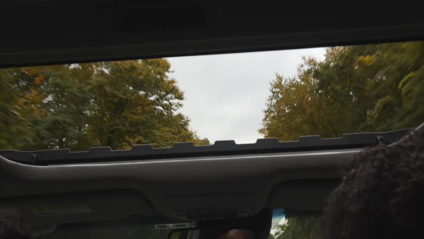 Open sunroof of a car driving down a road surrounded by trees