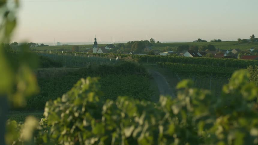 Houses are displayed in a rural area