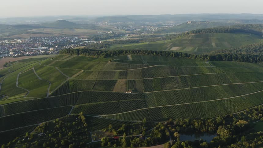 Large rows of crops on a farm surrounded by trees and a small town