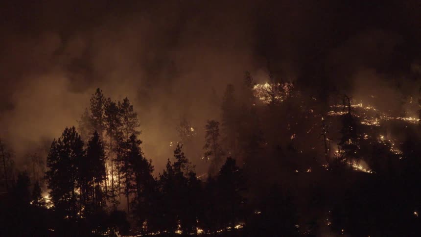 Wildfire destroying trees in the night