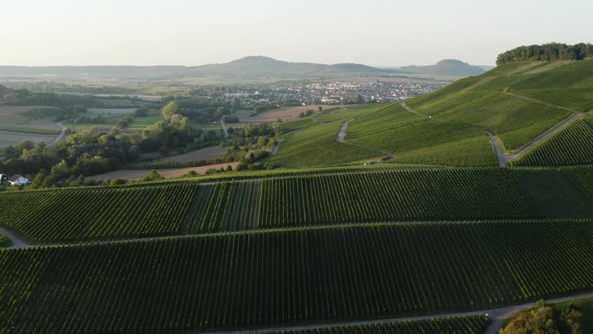 Large area of rows of bushes and trees near a city and mountains