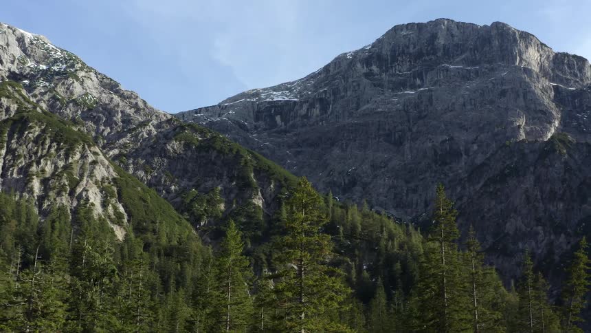 Pine trees and a rocky mountain range in nature on a summer day