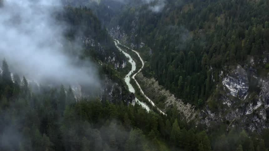 An aerial view of mist floating above pine trees in a mountain forest