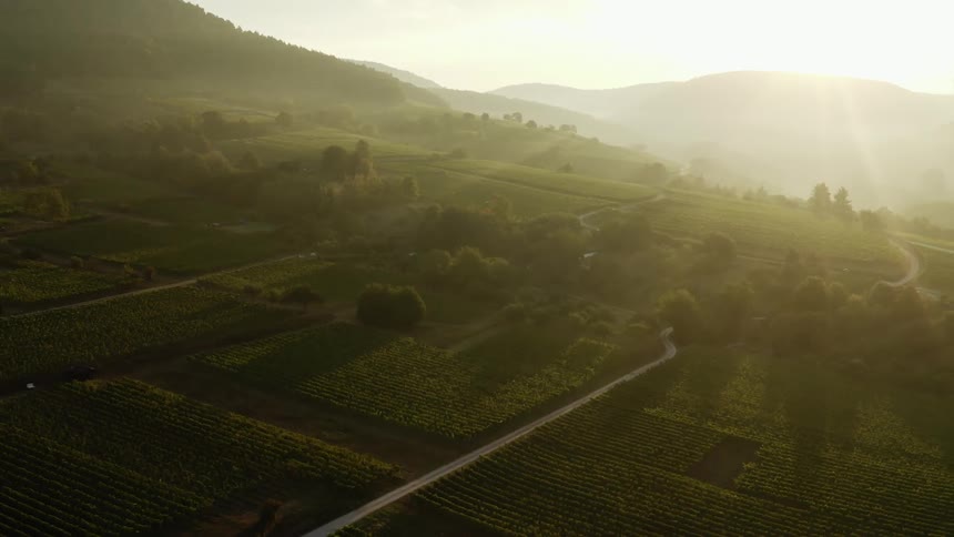 Sun rising over a distant mountain casting light onto green wide open farmland