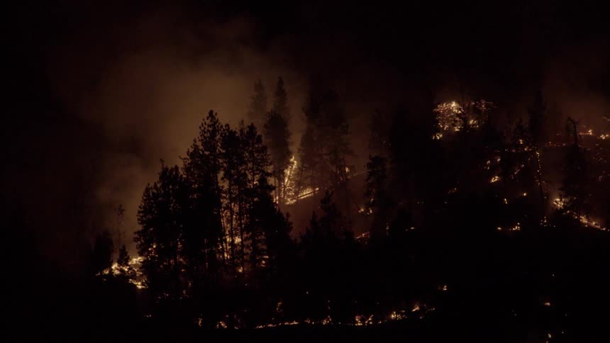 A fire burning in a forest at night