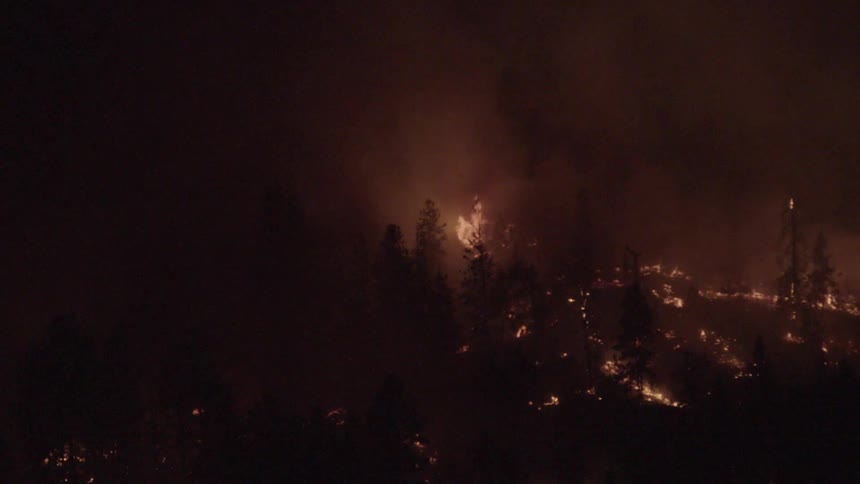 A forest fire at night