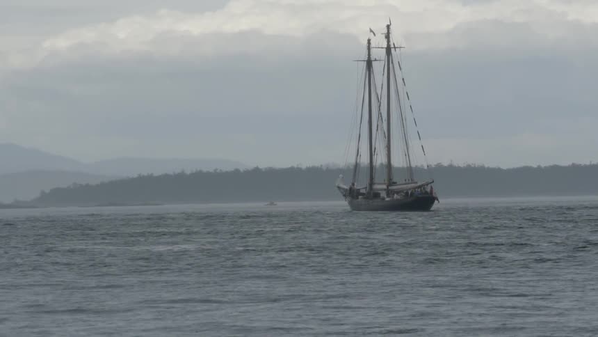 A sailboat on a foggy morning