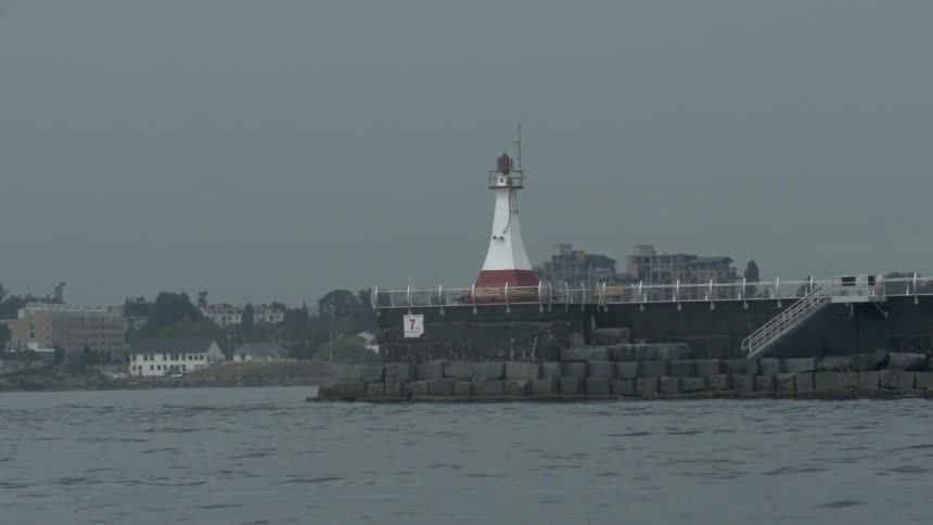 Birds fly past a lighthouse near the water