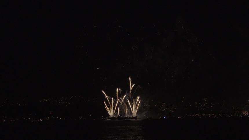 Fireworks exploding in the dark night across a waterway