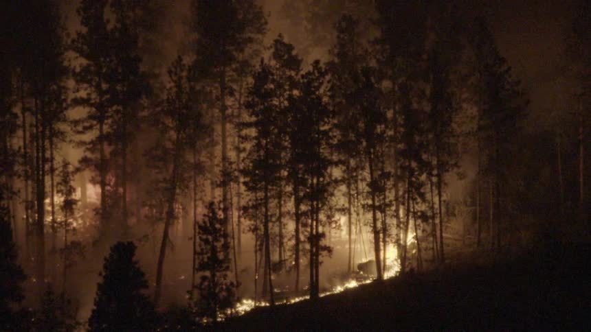 A large forest is on fire at night