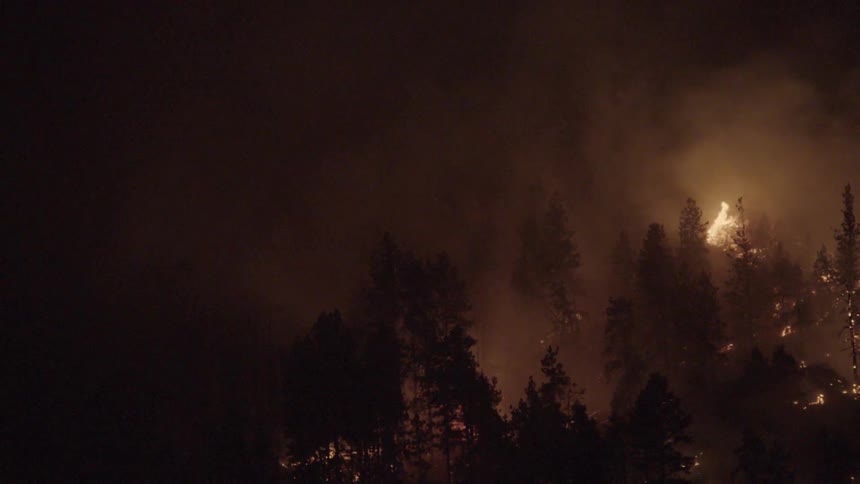 A forest fire burns at night