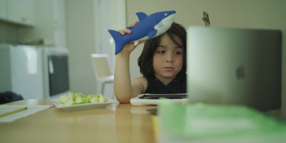 Girl sitting at the dining table with her toys looks at the screen of a laptop