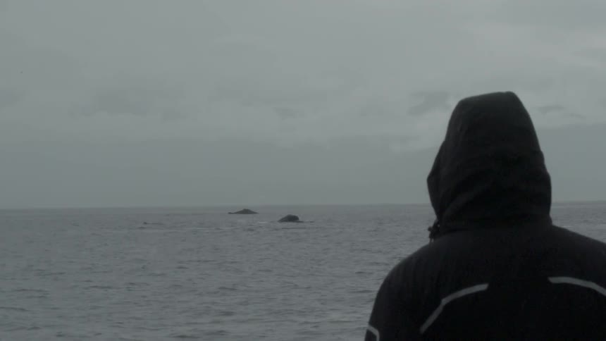 Hooded person standing at the water's edge looking out on a very overcast day