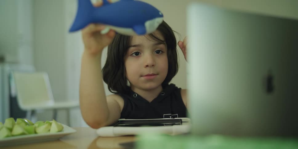 A child holds up a toy whale and dinasaur to the laptop on the kitchen counter