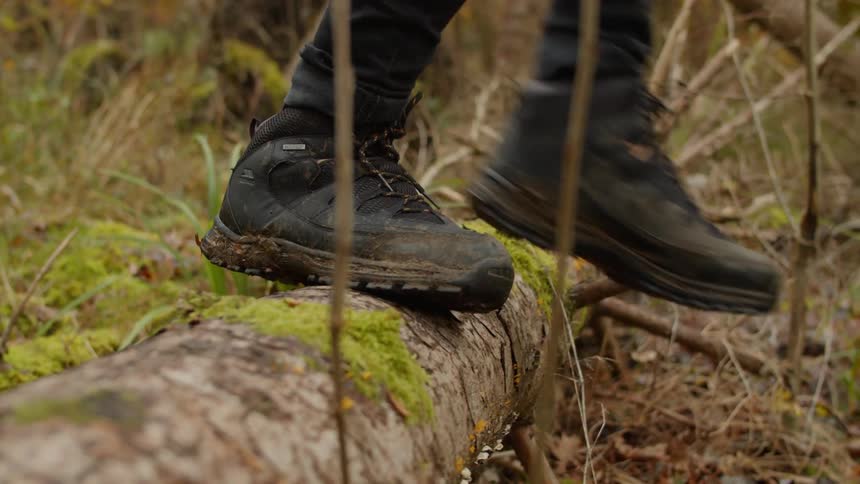A person wearing hiking boots steps atop a fallen tree trunk and just down